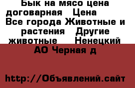 Бык на мясо цена договарная › Цена ­ 300 - Все города Животные и растения » Другие животные   . Ненецкий АО,Черная д.